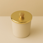 VENA KREM BARDAKLI YUVARLAK KAPAKLI MANGO KOKULU MUM